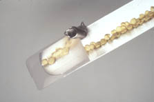 hand seeder accessories